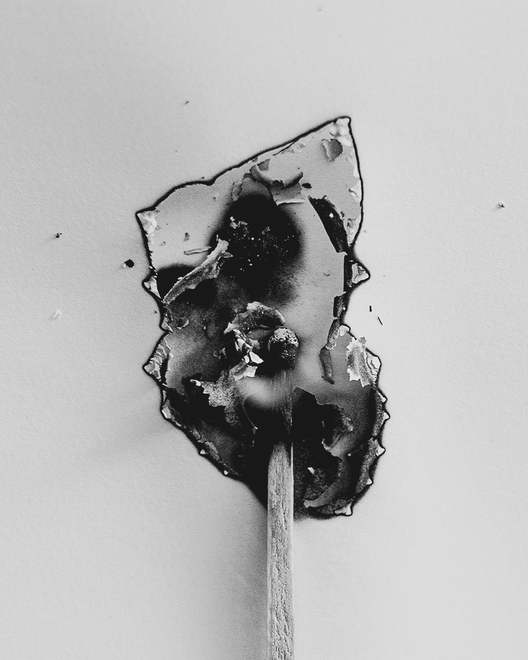 Fotografía 03 de la serie ¿Valió la pena?